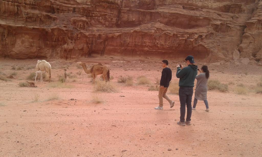 Wadi Rum Light Camp Exterior foto